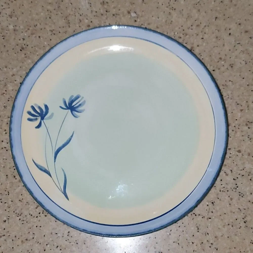 Pier 1 Imports Tranquility Dinner Plate